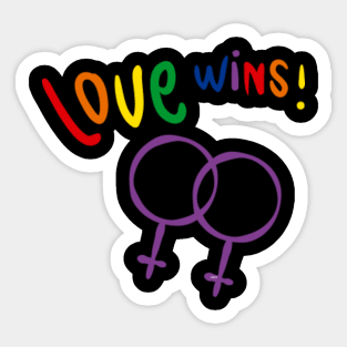 Love wins! Women t-shirt Gay Pride Month Shirt Tee Gift Sticker